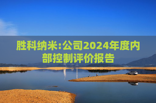 胜科纳米:公司2024年度内部控制评价报告