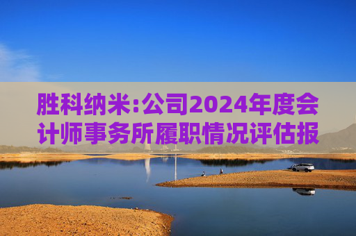 胜科纳米:公司2024年度会计师事务所履职情况评估报告