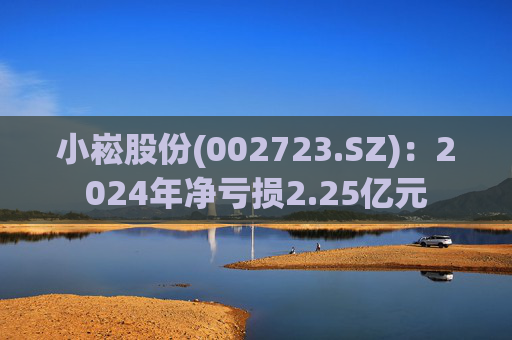 小崧股份(002723.SZ)：2024年净亏损2.25亿元
