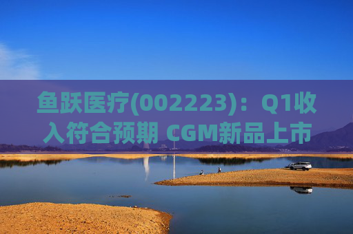 鱼跃医疗(002223)：Q1收入符合预期 CGM新品上市丰富增长动能