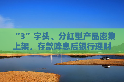 “3”字头、分红型产品密集上架，存款降息后银行理财花式“抢钱”，31万亿市场短期或仍扩容