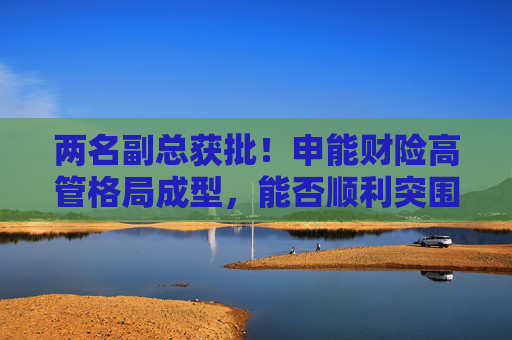 两名副总获批!申能财险高管格局成型,能否顺利突围?