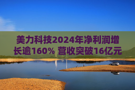 美力科技2024年净利润增长逾160% 营收突破16亿元  第1张