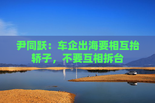 尹同跃:车企出海要相互抬轿子,不要互相拆台