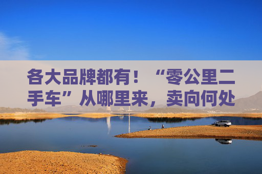 各大品牌都有!“零公里二手车”从哪里来,卖向何处,影响有多大?