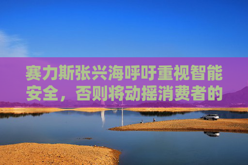 赛力斯张兴海呼吁重视智能安全，否则将动摇消费者的信心