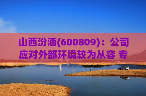 山西汾酒(600809):公司应对外部环境较为从容 专注于组织、团队、信息化等自身能力提升