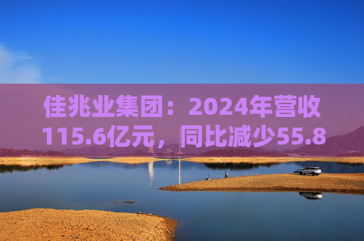 佳兆业集团:2024年营收115.6亿元,同比减少55.8%