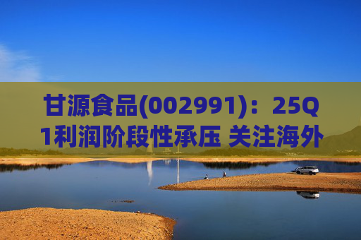甘源食品(002991):25Q1利润阶段性承压 关注海外市场突破
