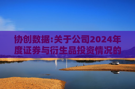 协创数据:关于公司2024年度证券与衍生品投资情况的专项报告