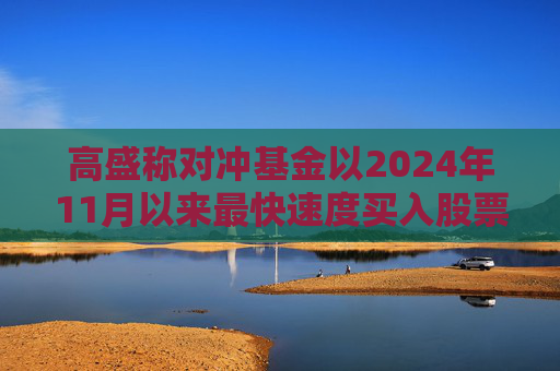 高盛称对冲基金以2024年11月以来最快速度买入股票