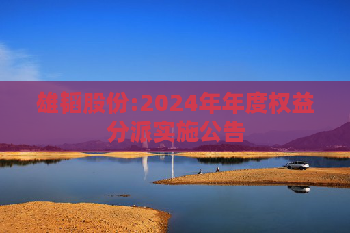 雄韬股份:2024年年度权益分派实施公告