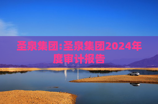 圣泉集团:圣泉集团2024年度审计报告