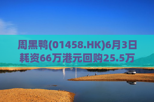 周黑鸭(01458.HK)6月3日耗资66万港元回购25.5万股