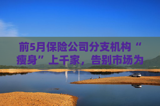 前5月保险公司分支机构“瘦身”上千家，告别市场为哪般