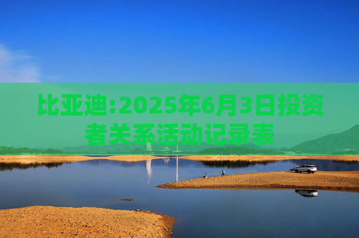 比亚迪:2025年6月3日投资者关系活动记录表