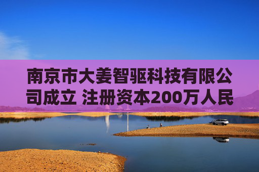 南京市大姜智驱科技有限公司成立 注册资本200万人民币