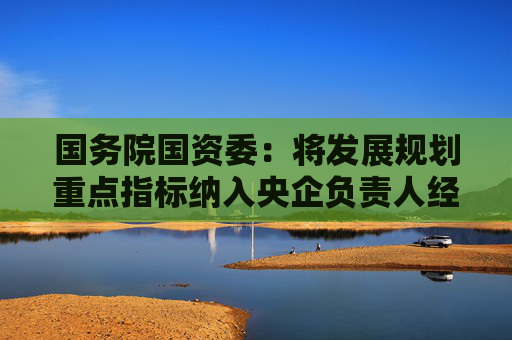 国务院国资委：将发展规划重点指标纳入央企负责人经营业绩考核范围  第1张