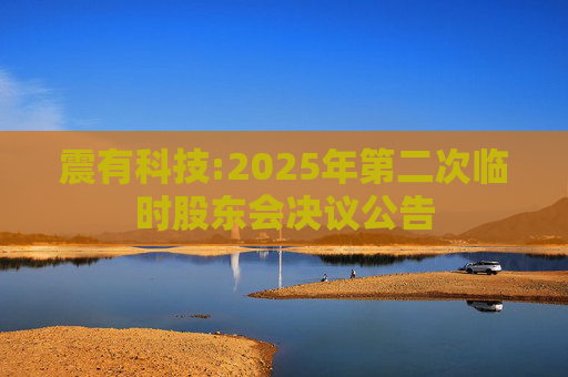 震有科技:2025年第二次临时股东会决议公告