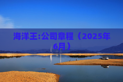 海洋王:公司章程（2025年6月）  第1张