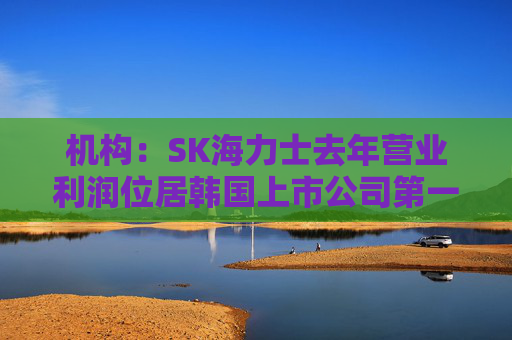 机构:SK海力士去年营业利润位居韩国上市公司第一,首次超过三星电子