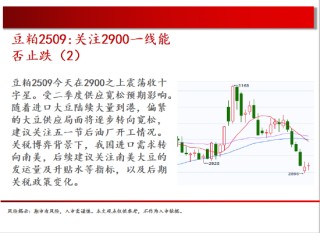 中天期货:原油回补缺口 棕榈继续下行