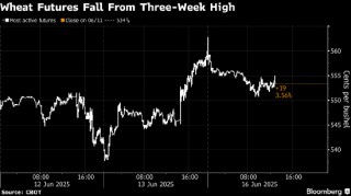小麦期货从三周高点回落 天气再度成为焦点