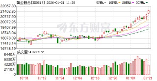 地缘冲突不断 金价再创历史新高！这些黄金概念股业绩有望高增长