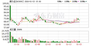 德力佳拟投建10兆瓦以上风电用变速箱研发制造项目，推进公司风电齿轮箱产能扩充