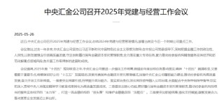 中央汇金：打造一流金融机构的“领头雁”和维护金融稳定的“压舱石”