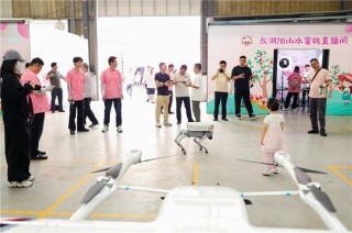 14年深耕！顺丰科技赋能，全链路升级助力阳山水蜜桃“甜蜜出圈”