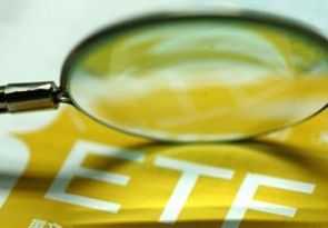 期权一级投资者的相关问题有哪些？这些问题对投资有什么影响？  第1张