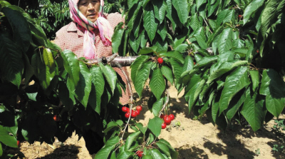 什么是风火重绿色股票?风火重绿色股票的发展趋势如何? 第1张 什么是风火重绿色股票?风火重绿色股票的发展趋势如何? 第1张