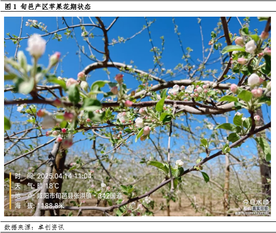 【花期调研】低温、大风或增加挂果欠佳的概率 第3张 【花期调研】低温、大风或增加挂果欠佳的概率 第3张