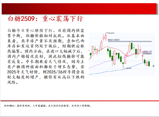 中天期货:原油回补缺口 棕榈继续下行 第16张 中天期货:原油回补缺口 棕榈继续下行 第16张