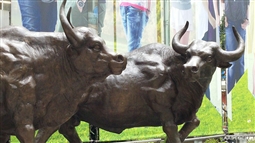 如何理解资本市场参与者的角色?这些角色对市场有什么影响? 第1张 如何理解资本市场参与者的角色?这些角色对市场有什么影响? 第1张