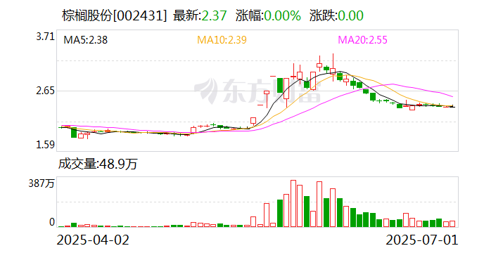 棕榈股份：公司尚未开始实施本次股份回购  第1张