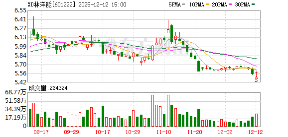 林洋能源:已形成以智能电表、储能系统、新能源技术为主线的专利池与技术储备 第1张 林洋能源:已形成以智能电表、储能系统、新能源技术为主线的专利池与技术储备 第1张