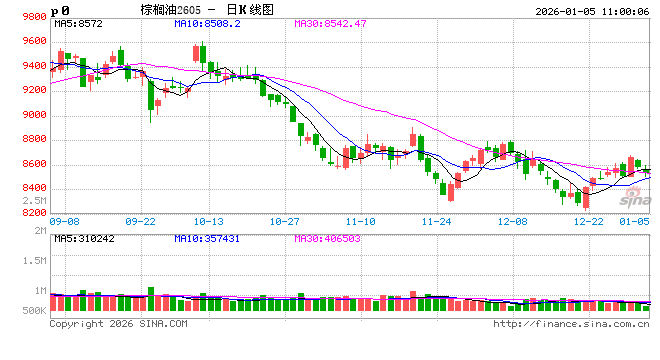光大期货:1月5日农产品日报 第2张 光大期货:1月5日农产品日报 第2张