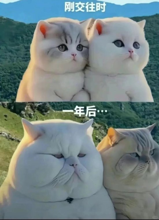 没有伴侣,健康会更差吗?来自50万中国人的长期追踪证据 第3张 没有伴侣,健康会更差吗?来自50万中国人的长期追踪证据 第3张