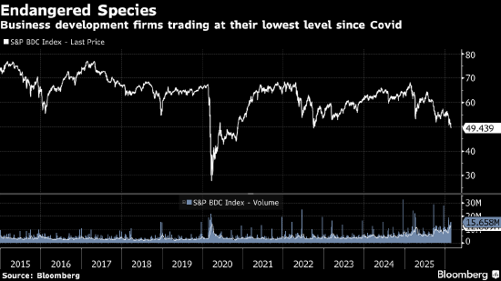 宏观看客：AI颠覆论是个有趣谈资 但系统性风险在别处  第1张