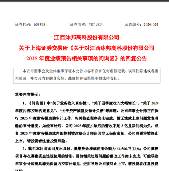 造假被罚,退市风险仍存,603398为何逆势涨停? 第3张 造假被罚,退市风险仍存,603398为何逆势涨停? 第3张