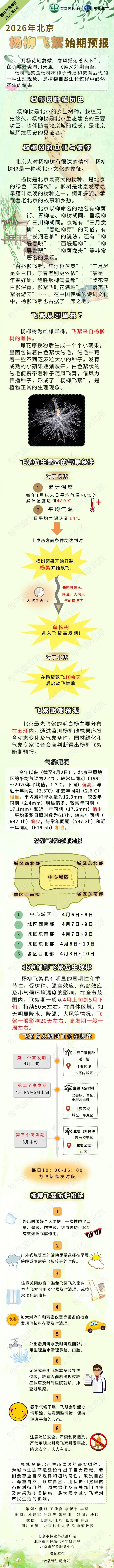 中心城区预计后天开始飞絮，北京发布今年首个杨柳飞絮预报  第1张