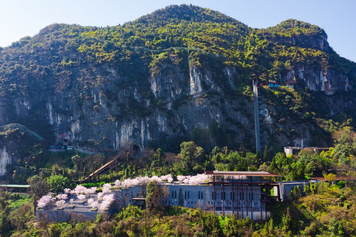 赤水左岸诗酒五载：当文学与美酒在时间里“生长养藏”  第6张