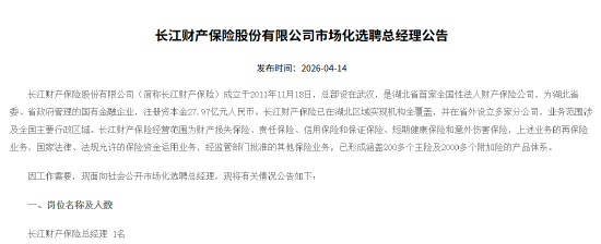 长江财险市场化选聘总经理  第1张